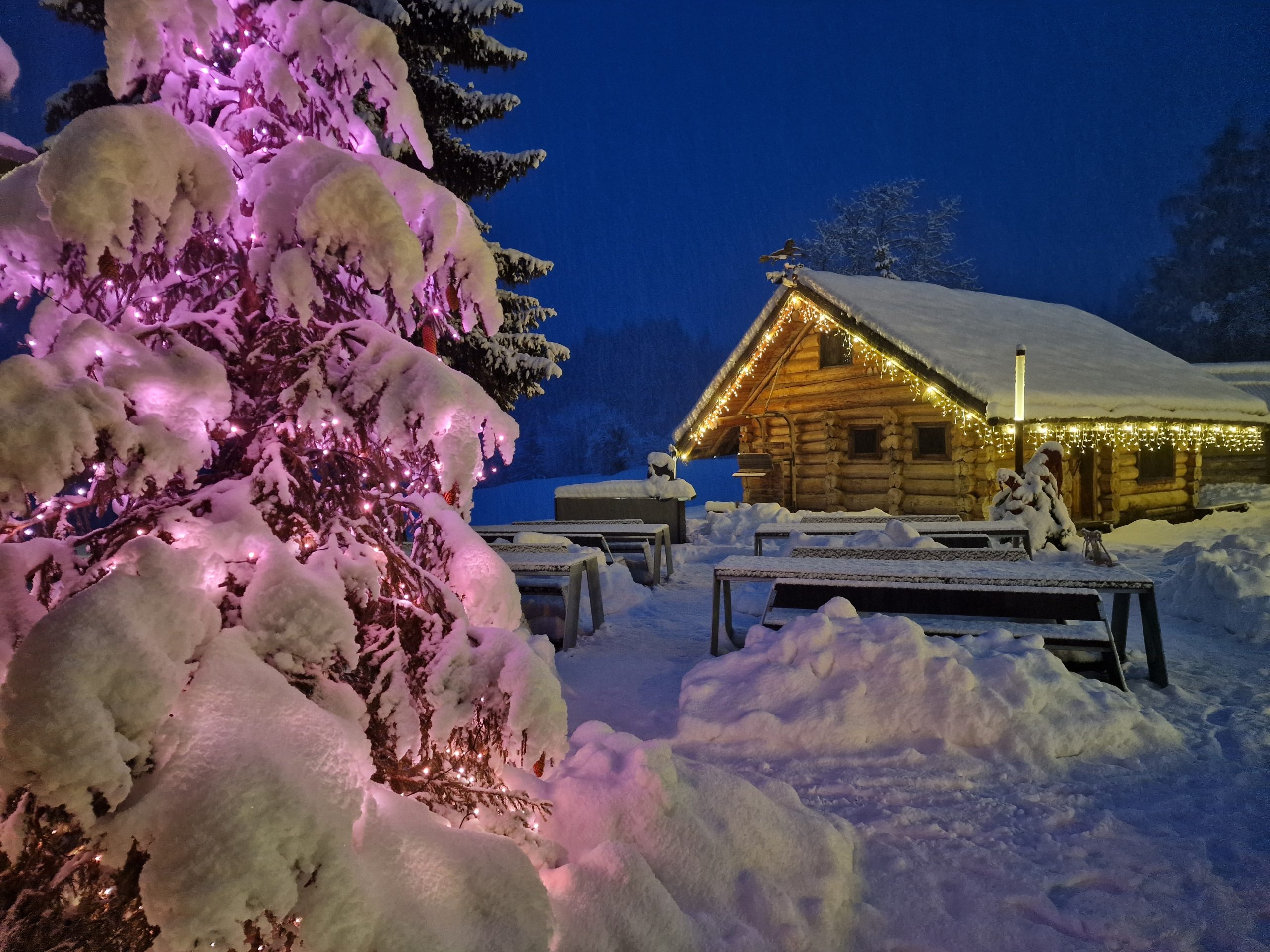 Christmas and New Year's Holidays in Gela - 2026/2027